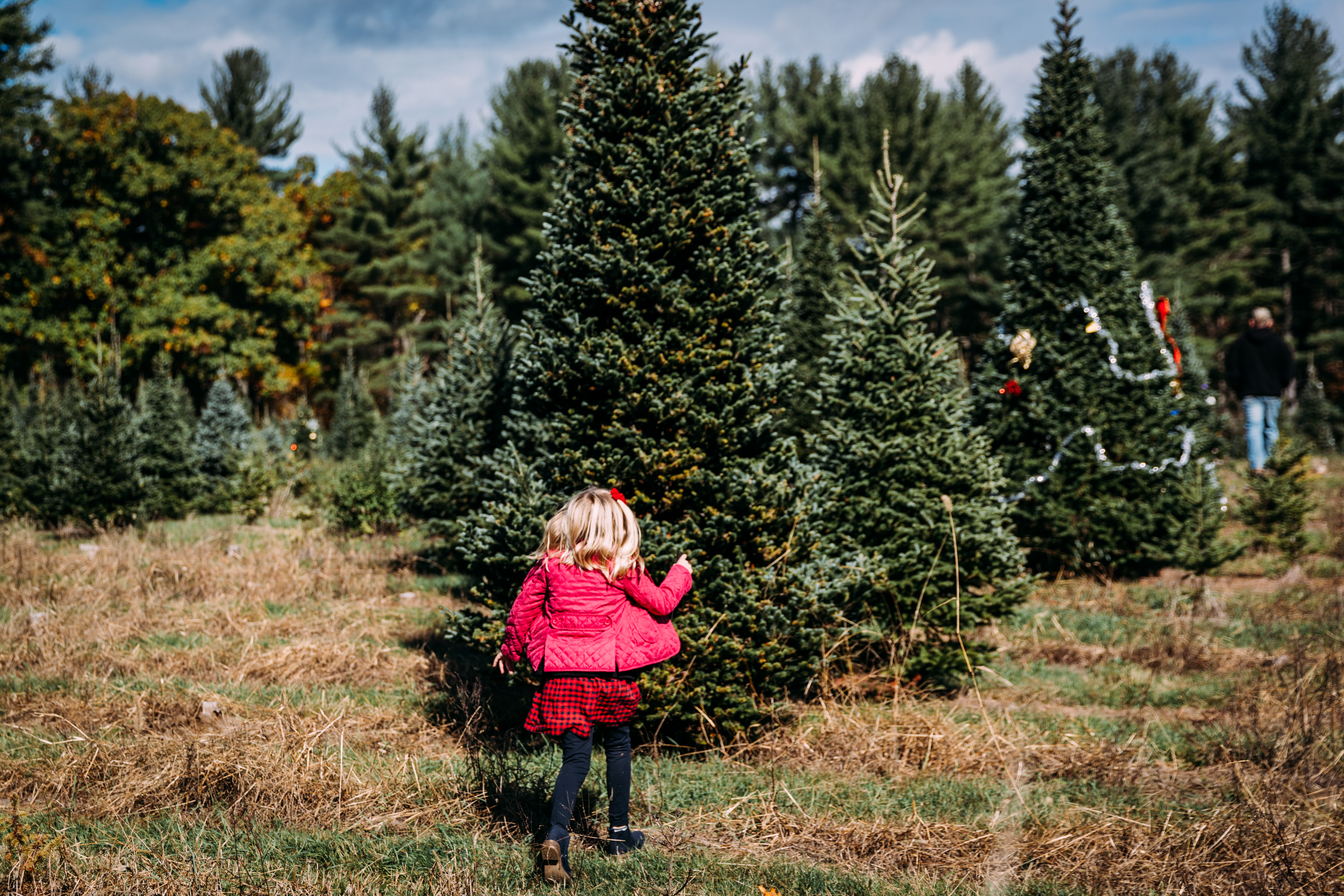 Documenting Family Traditions with The Loomis Family, part one