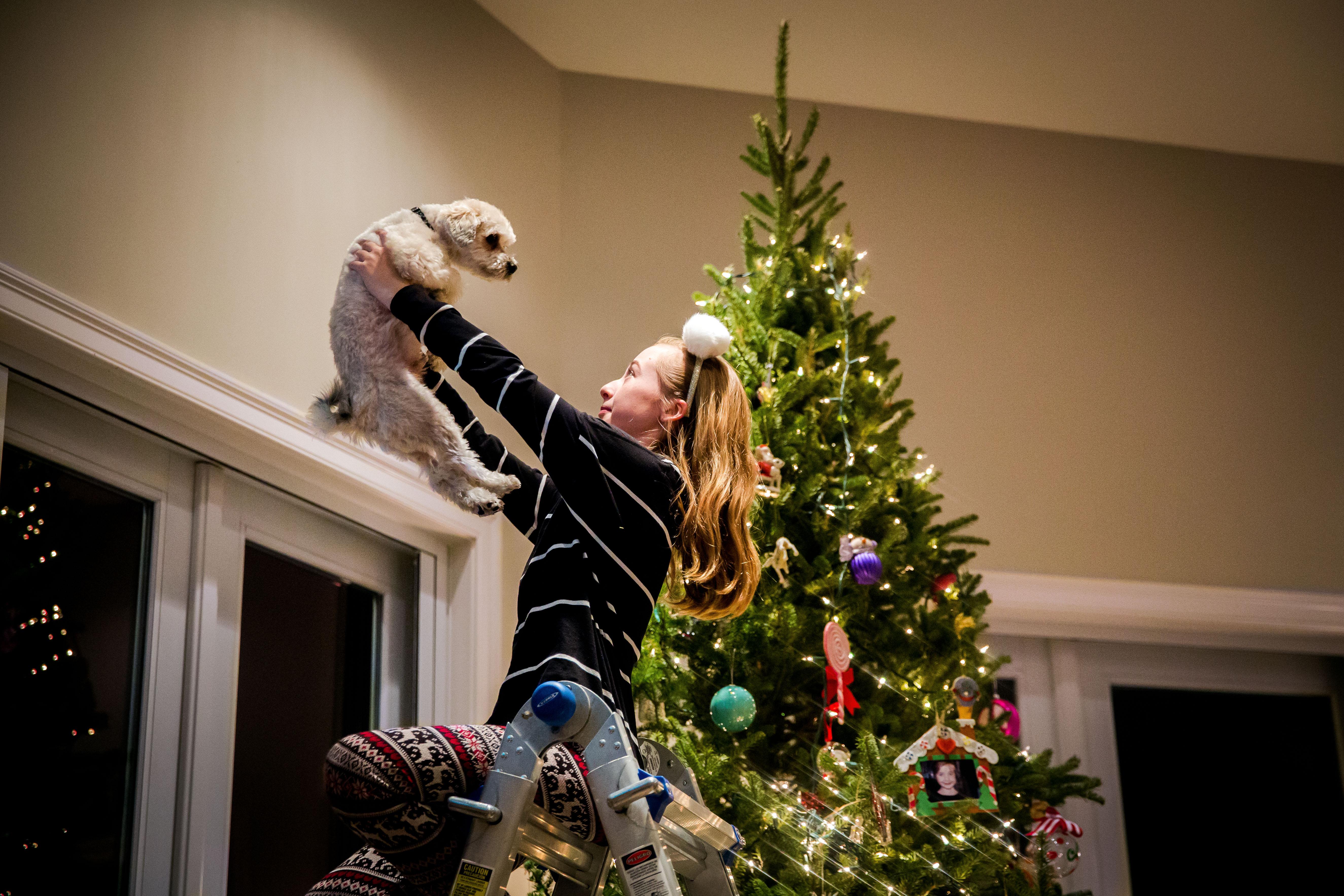 Little girl holding small white dog up overhead