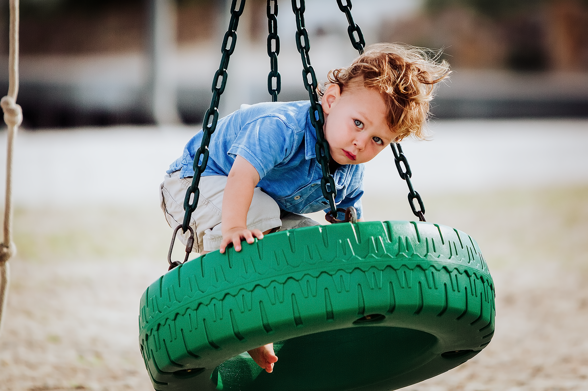 Little boy on green tire swing