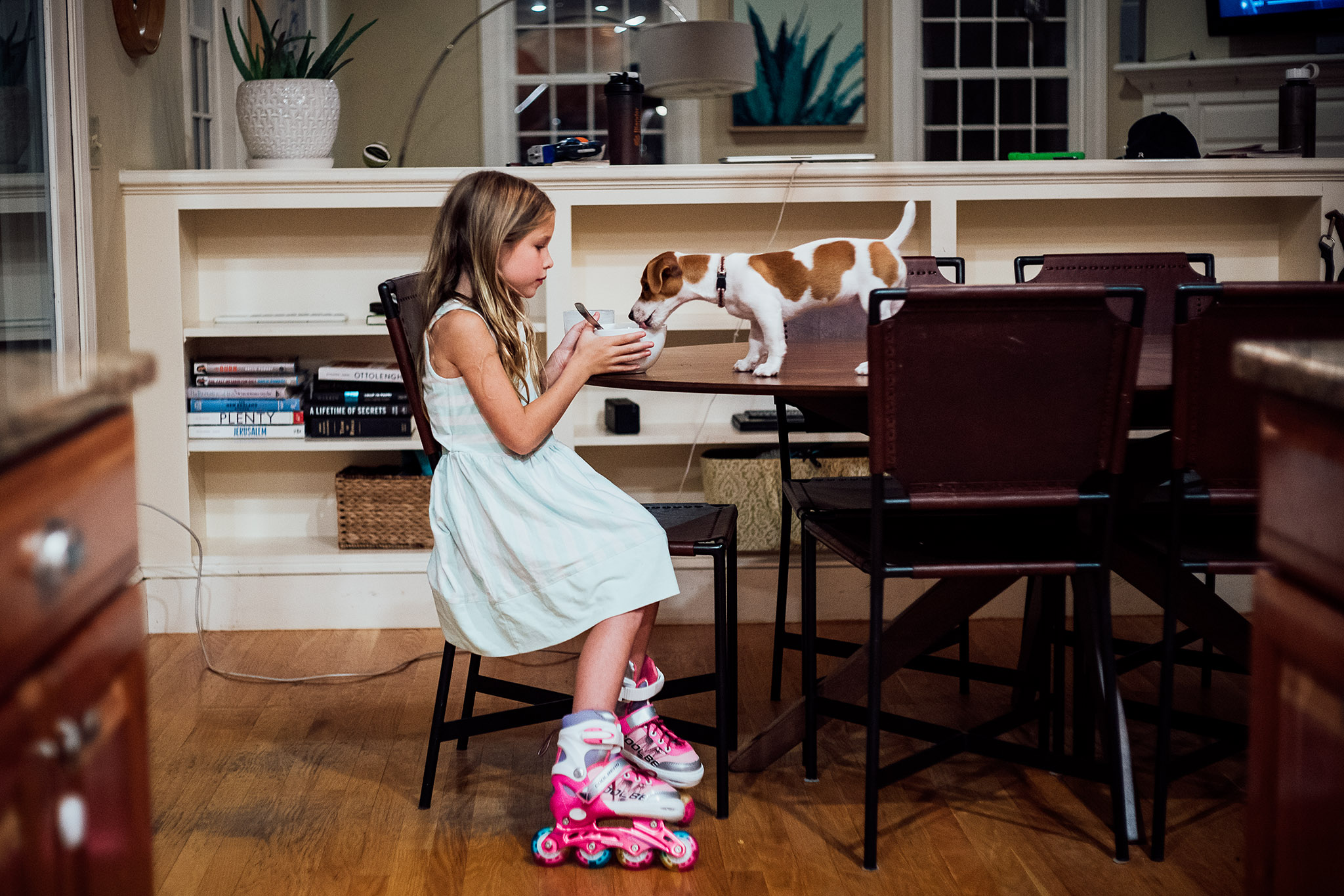 little girl wearing pink rollerblades sitting at the table sharing a bowl of soup with a small dog standing on the table